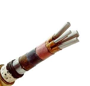 Кабель АСБл-10 3х240 ож (м) Камкабель 11Ю62S314600K01 Изображение Кабель АСБл-10 3х240 ож (м) Камкабель 11Ю62S314600K01