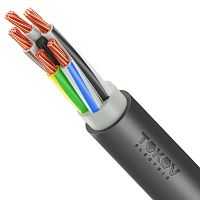 Изображение Кабель TOKOV ELECTRIC ППГнг(А)-HF 5х25 МК (N PE) 1кВ (м) ТХМ00416255 