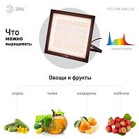Изображение Прожектор светодиодный FITO-150W-Ra90-LED 150Вт для растений полного спектра профессиональный Эра Б0059880 
