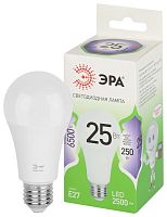 Изображение Лампа светодиодная GREEN LINE A60-25W-865-E27 GL 25Вт груша 6500К свет холод. E27 Эра Б0067111 