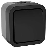 Изображение Выключатель кнопочный 1-кл. ОП TORS TS110 10А IP55 графит IEK TS-V14-0-10-55-K53 