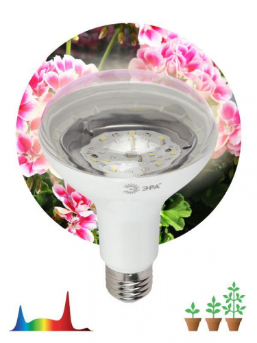 Изображение Лампа светодиодная для растений FITO-15W-Ra90-E27 BR30 15Вт 220-240В полноспектральная бел. спектр ЭРА Б0039173 