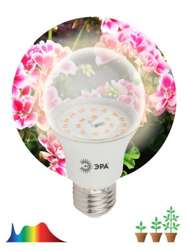 Изображение Лампа светодиодная для растений FITO-11W-Ra90-E27 А60 11Вт 220-240В полноспектральная бел. спектр ЭРА Б0039172 