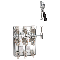 Изображение Разъединитель РПС/К-1П-100А-безПВ-У3 КЭАЗ 381790 