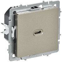 Изображение Розетка СП BRITE РЮ12-1-БрШ USB C 65Вт высокоскор. заряд. шампань IEK BR-U13-065-K37 