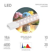 Изображение Светильник FITO-10W-Т5-PFR-Slim-GR 10Вт линейный для растений полного спектра GREEN LINE Эра Б0066968 