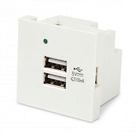 Изображение Модуль M45-USBCH2-WH розетки USB для зарядки 2 порта 2М 2.1А 5В 45х45мм бел. Hyperline 250097 