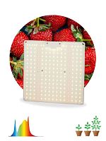 Изображение Фитопрожектор светодиодный для растений FITO-80W-LED-QB Quantum board Эра Б0053285 