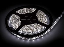 Изображение Лента светодиодная LS 35CW-60/65 60LED 4.8Вт/м 12В IP65 холод. бел. 6000К (уп.5м) IN HOME 4690612022550 