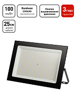 Изображение Прожектор светодиодный PRO LPR-062-0-65K-300 300Вт IP65 6500К призма Эра Б0065943 