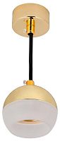 Изображение Светильник 4012 подвесной под лампу GX53 золото IEK LT-UCB0-4012-GX53-1-K22 
