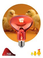 Изображение Излучатель тепловой (лампа инфракрасная) ИКЗК 230-100 R95 100Вт E27 для обогрева животных и освещения КЭЛЗ Б0064638 