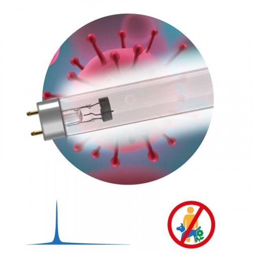 Изображение Лампа бактерицидная ультрафиолетовая T8/30Вт UV-С ДБ 30 Т8 G13 ЭРА Б0048973 