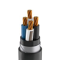 Изображение Кабель TOKOV ELECTRIC ВБШвнг(А)-LS 4х50 МК (N) 1кВ (м) УТ000030869 