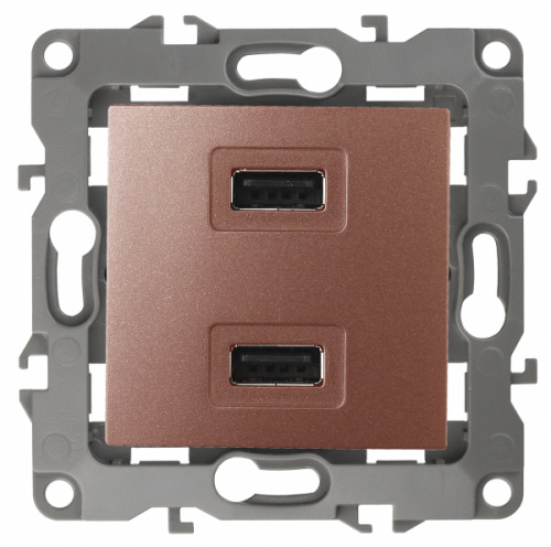 Изображение ЭРА 12-4110-14 Устройство зарядное USB, 230В/5В-2100мА, IP20, 12, медь Б0027499 
