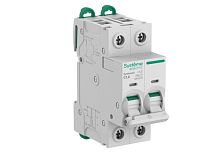 Изображение Выключатель автоматический 2п C 1.6А 6кА Systeme9 400В SE S9F22272 
