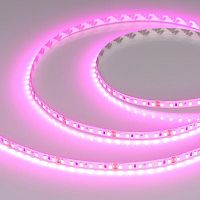 Изображение Лента светодиодная RT-A120-8mm 24В Magenta (9.6Вт/м IP20 2835) (уп.5м) Arlight 043381 
