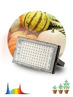 Изображение Прожектор светодиодный FITO-80W-Ra90-LED-Y 80Вт для растений полноспектральный IP65 Эра Б0057284 