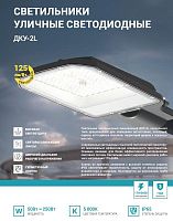 Изображение Светильник уличный линзованный светодиодный ДКУ-2L 250Вт 230В 5000К 31250лм 125лм/Вт 48-70мм IP65 NEOX 4690612057507 