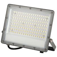 Изображение Прожектор светодиодный PRO LPR-063-0-65K-100 100Вт 6500К IP65 10000лм Г 90град. сер. Эра Б0067743 