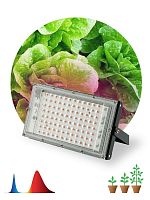 Изображение Прожектор светодиодный FITO-80W-RB-LED-Y 80Вт для растений красн./син. спектр IP65 Эра Б0053082 