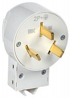 Вилка Впл10-К 32А разборная для плиты с заземл. бел. IEK EVP10-032-K01  Изображение Вилка Впл10-К 32А разборная для плиты с заземл. бел. IEK EVP10-032-K01