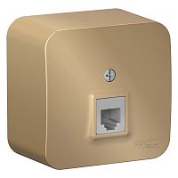 Blanca наруж Титан Розетка ТЛФ RJ11 изолир. пластина  упак.:12  BLNIA011004  Изображение Blanca наруж Титан Розетка ТЛФ RJ11 изолир. пластина  упак.:12  BLNIA011004