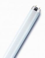 Лампа люминесцентная BASIC T8 18Вт T8 G13 линейная Ra >/=70 OSRAM 4008321959669  Изображение Лампа люминесцентная BASIC T8 18Вт T8 G13 линейная Ra >/=70 OSRAM 4008321959669