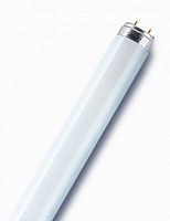 Лампа люминесцентная L 18W/865 LUMILUX 18Вт T8 6500К G13 смол. OSRAM 4058075693098  Изображение Лампа люминесцентная L 18W/865 LUMILUX 18Вт T8 6500К G13 смол. OSRAM 4058075693098